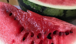 翰林府国产吃瓜爆料,揭秘娱乐圈幕后真相